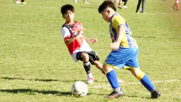 San Lorenzo de Villa Adela, Libertad y El Olimpo jugarán el provincial de fútbol