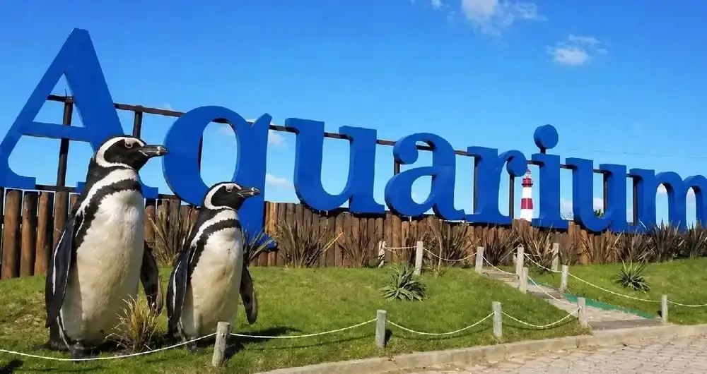 En el acuario quedan todavía unas 59 aves marinas que siguen esperando por un nuevo hogar.