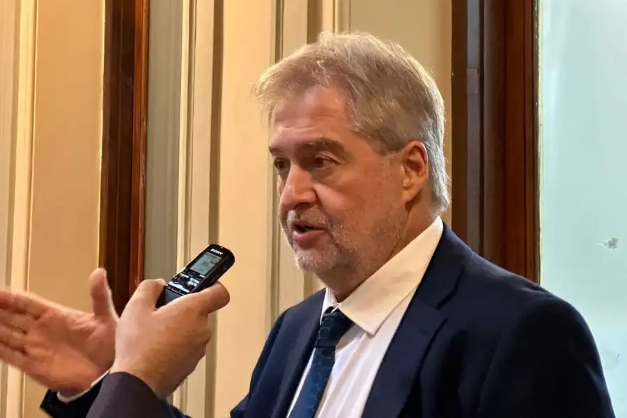 Roberto Mirabella, diputado nacional