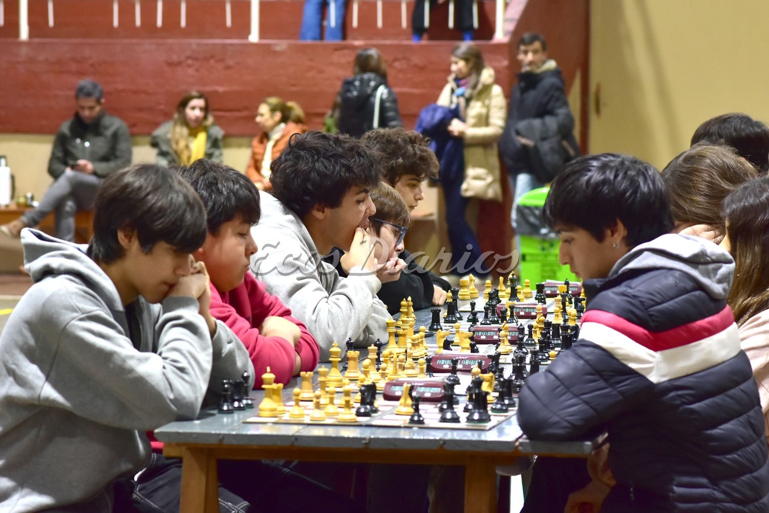 Concentración. Durante la fecha del Prix del Atlántico en Necochea