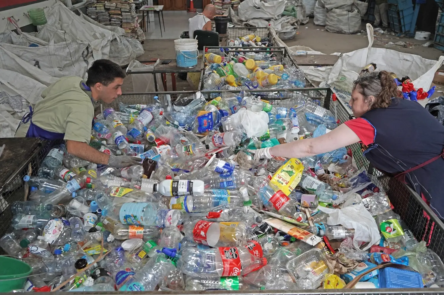 Las botellas plásticas que reciben de los puntos de acopio