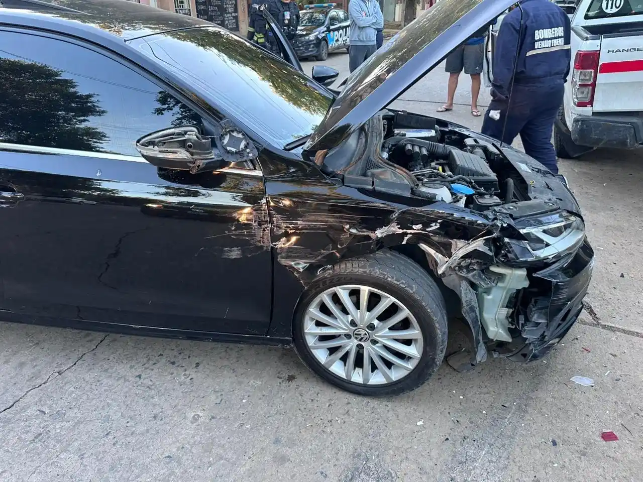 accidente venado - 2