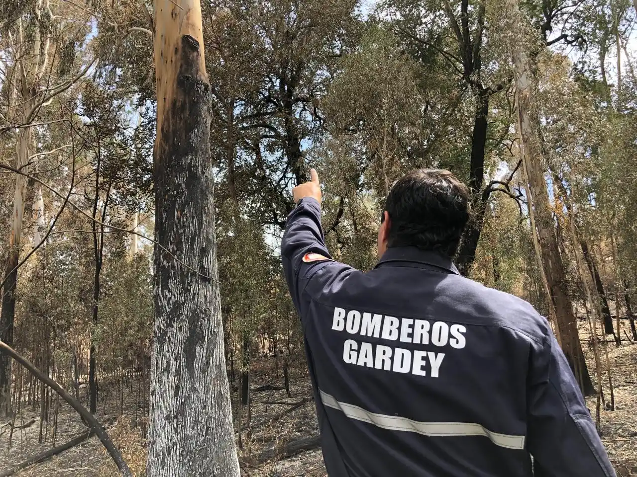 bomberos gardey incendio sierras 18-01-25 - 5