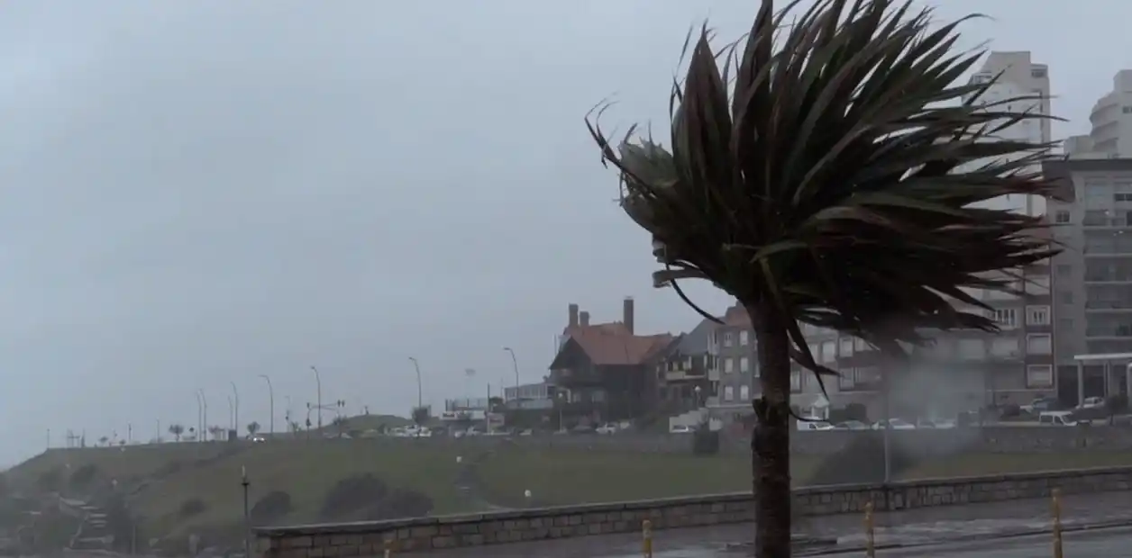 Alertas por fuertes vientos para toda la provincia de Buenos Aires
