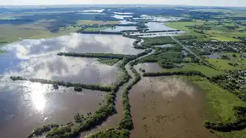 Por las inundaciones, Provincia exime del Impuesto Rural a campos de 19 distritos bonaerenses: cómo acceder al beneficio