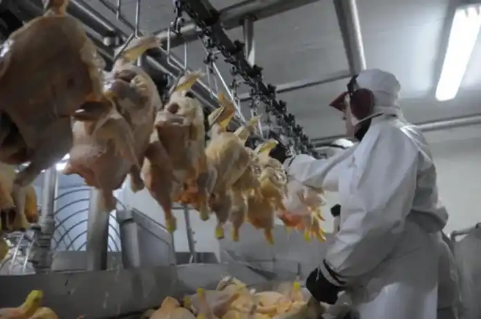 Denuncian 50 despidos en empresa avícola de Entre Ríos