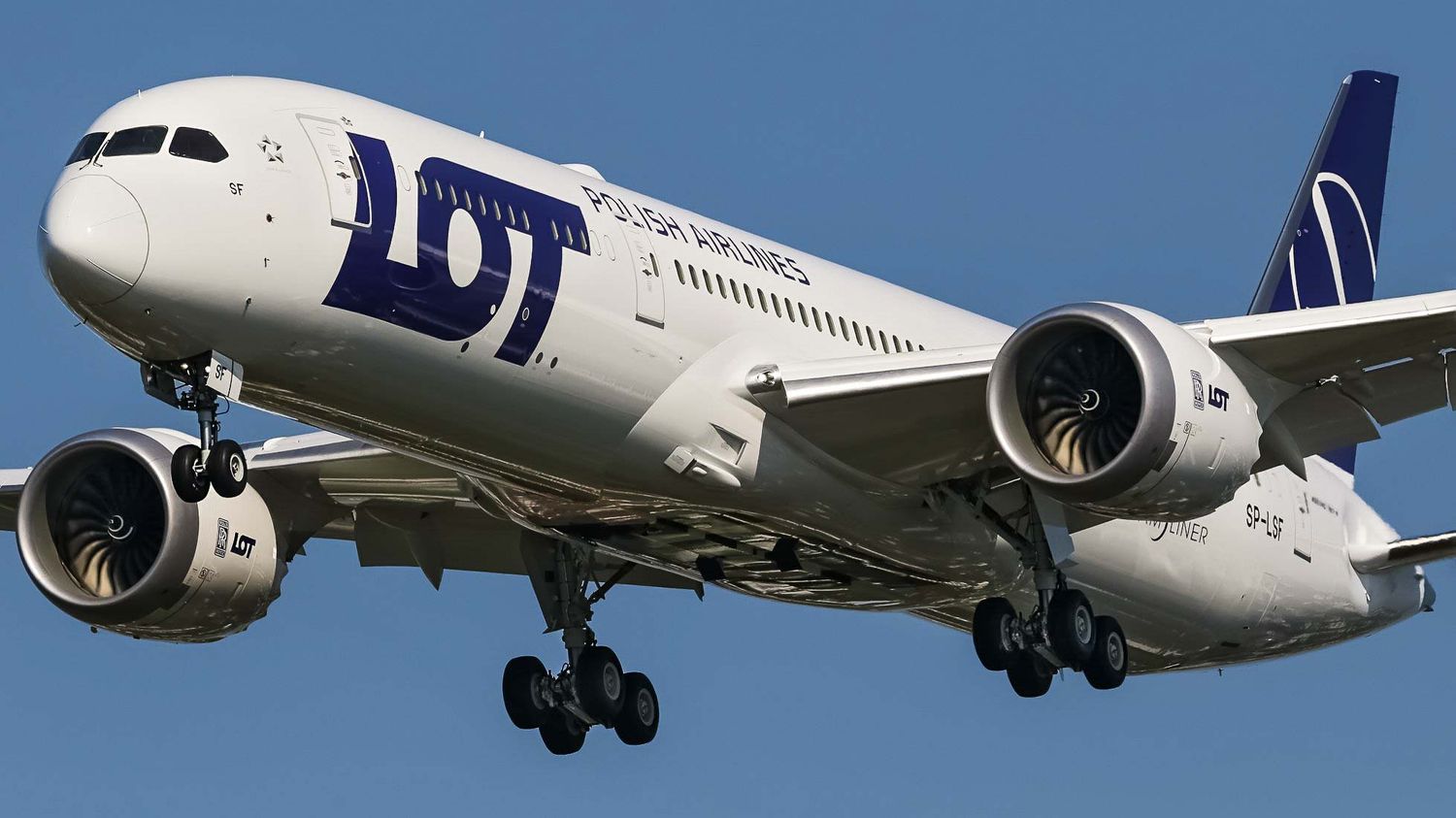 LOT Polish Airlines apuesta al mercado estadounidense: código compartido con JetBlue y nuevo lounge en Chicago
