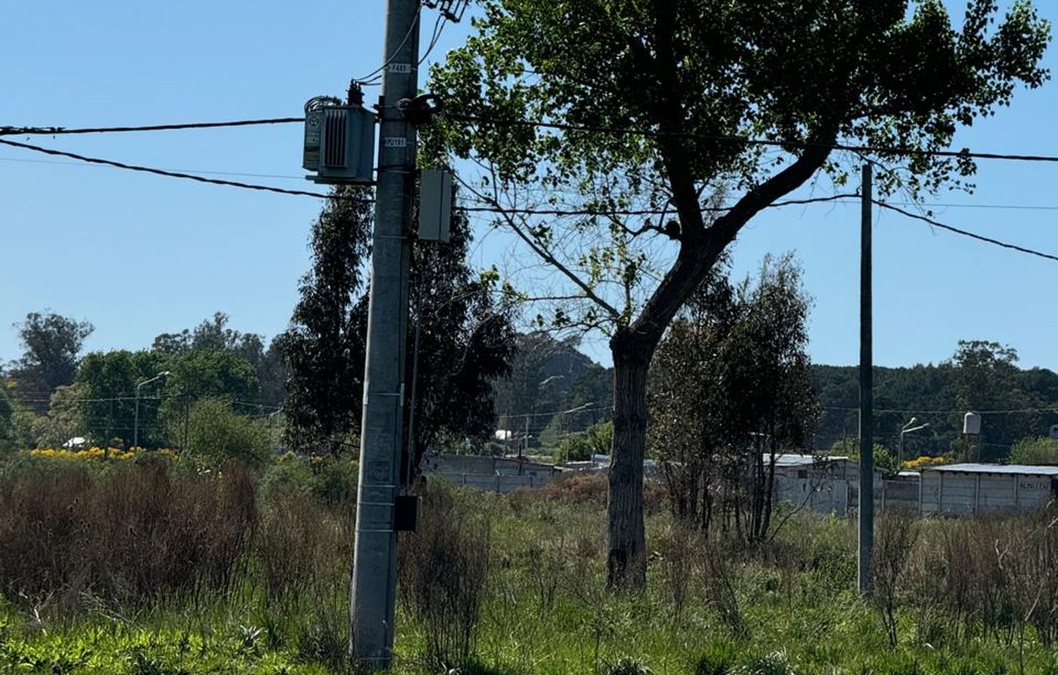 Quisieron robar un transformador de energía en Ruta 30 y Falkner