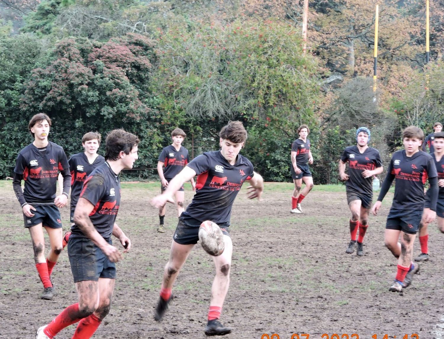 Rugby: Tiburones en Tandil