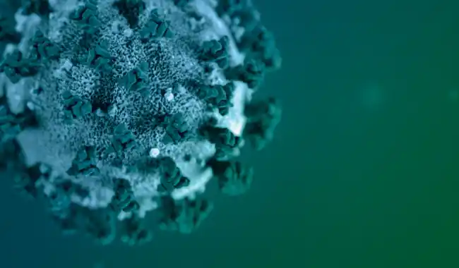 #Coronavirus 11 de enero: 8.704 nuevos casos y 160 muertes informadas en las últimas 24 horas