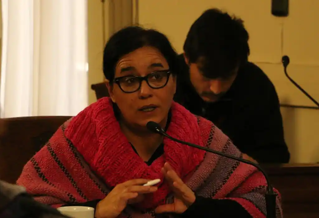Para Alexander “no hubo voluntad de hacer una lista de unidad” 