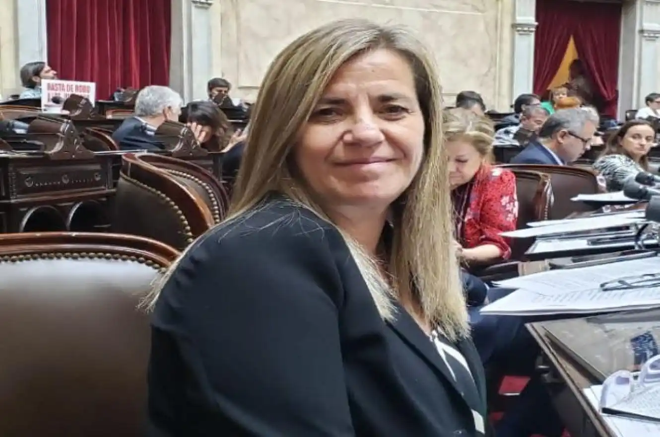 ¿Quiénes son los senadores y diputados entrerrianos nacionales que se les vence el mandato este año?