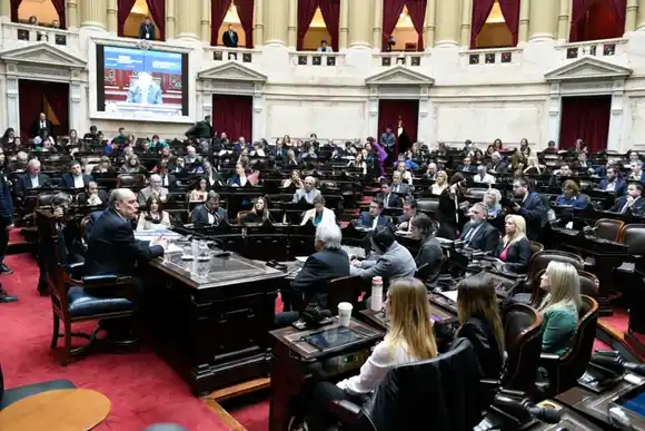 Francos: “La sanción de la ley previsional no constituye un acto maduro y responsable”