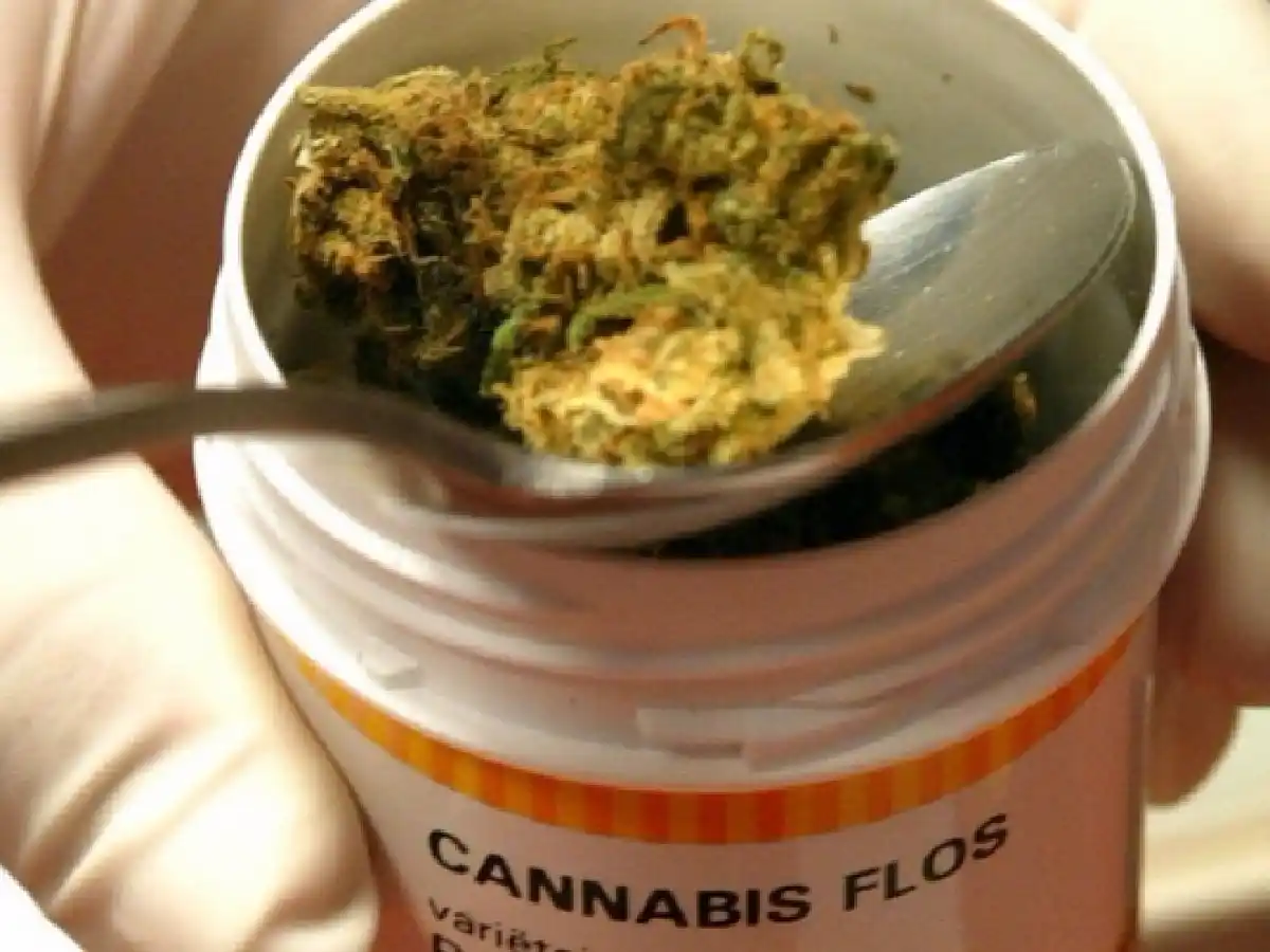 Destacan la gratuidad del acceso al cannabis medicinal