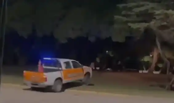En una acción peligrosa, anoche una camioneta de tránsito persiguió a una moto en la zona de Avenida 2 y Pinolandia.