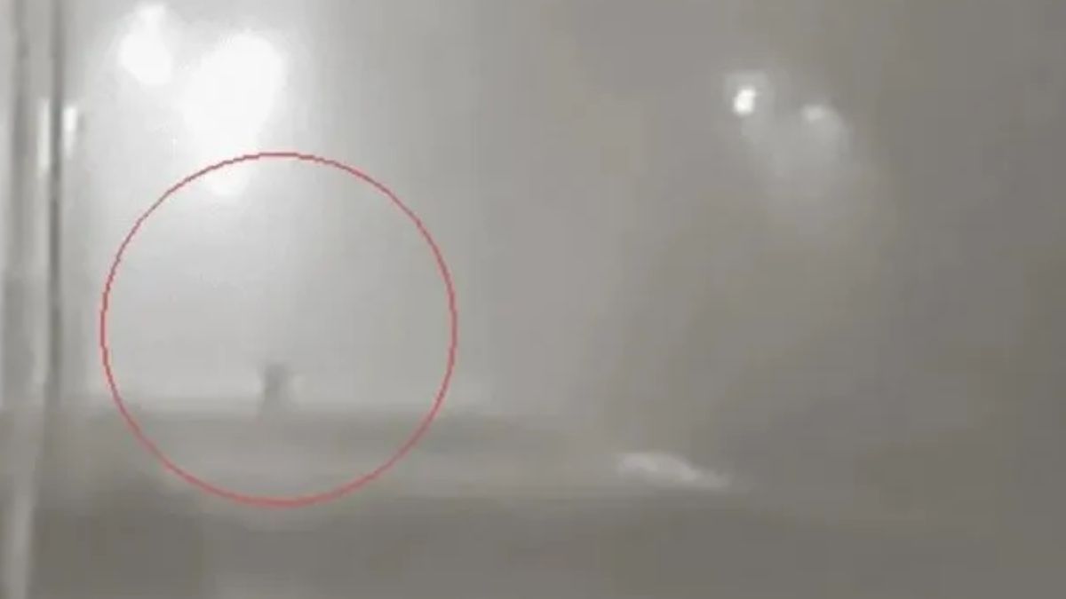 Viral: guardia de seguridad entra en pánico al toparse con un “duende”