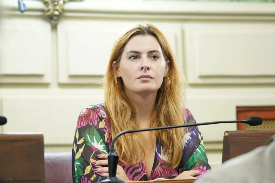 Licitación de conectividad bajo la lupa