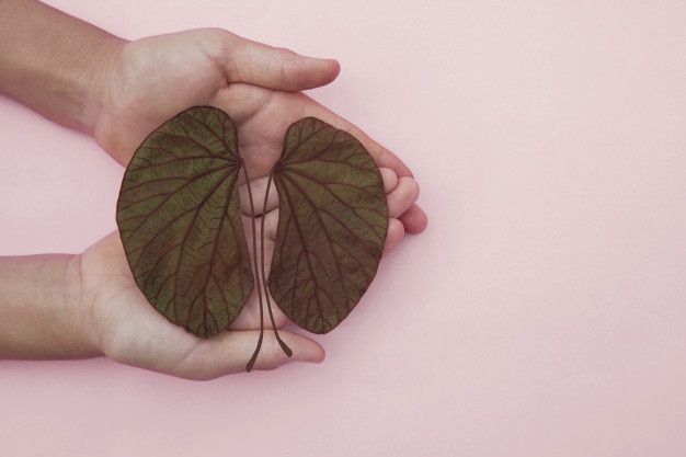 Cómo es la enfermedad renal crónica