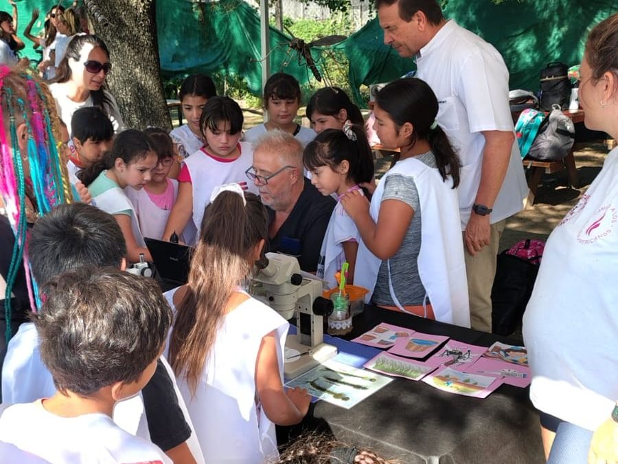 Objetivo Dengue: la prevención comenzó desde los más pequeños