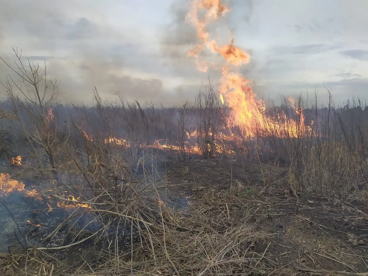 Rosario realizará nuevas presentaciones judiciales exigiendo la detención de personas que desencadenan los incendio