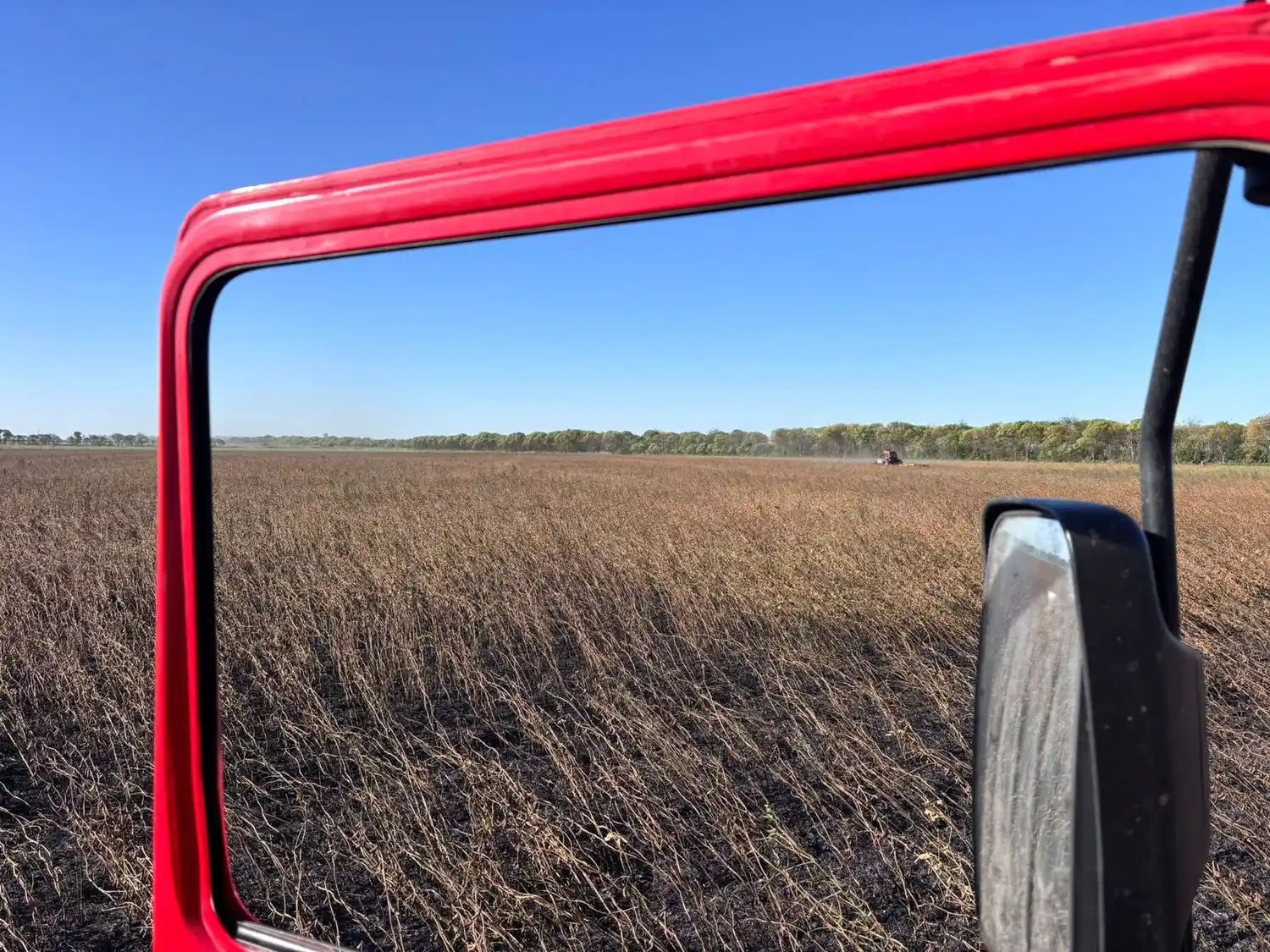 Cayó un poste eléctrico en un campo sembrado con soja y provocó un incendio
