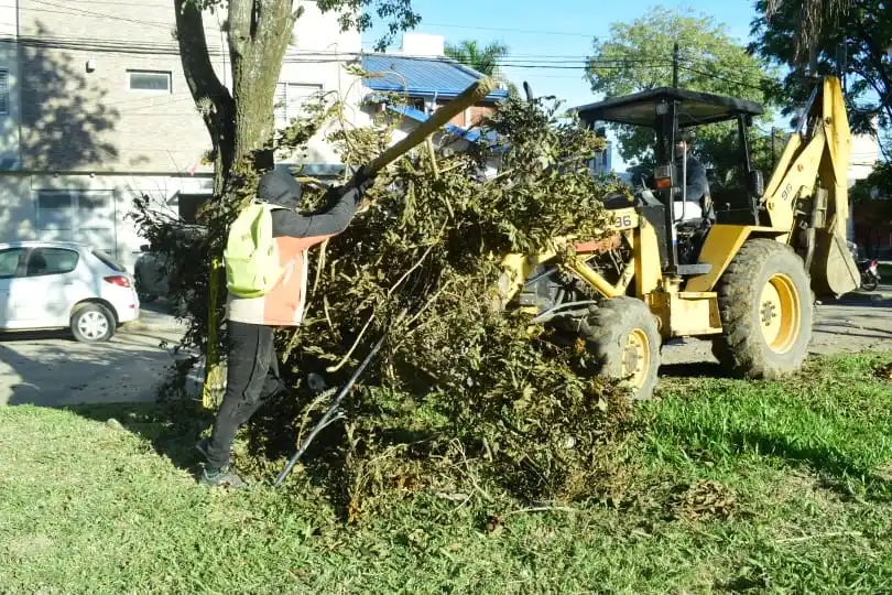 Plan de limpieza integral en diversos sectores