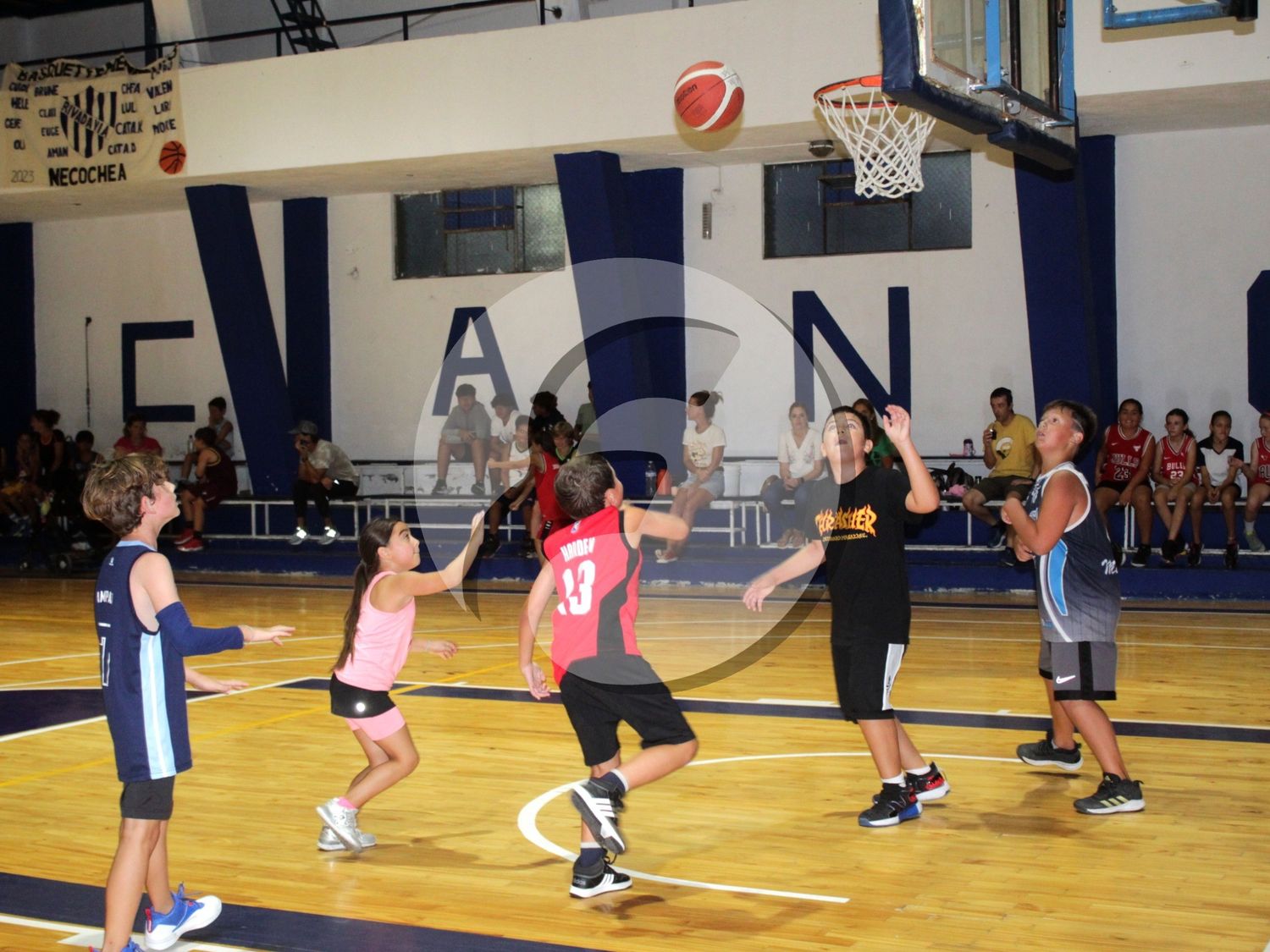 Torneo 3x3 "Hasta que cante el gallo"