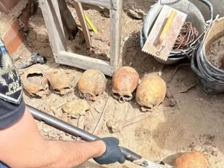 Los encontró tras remover arena del fondo de su casa