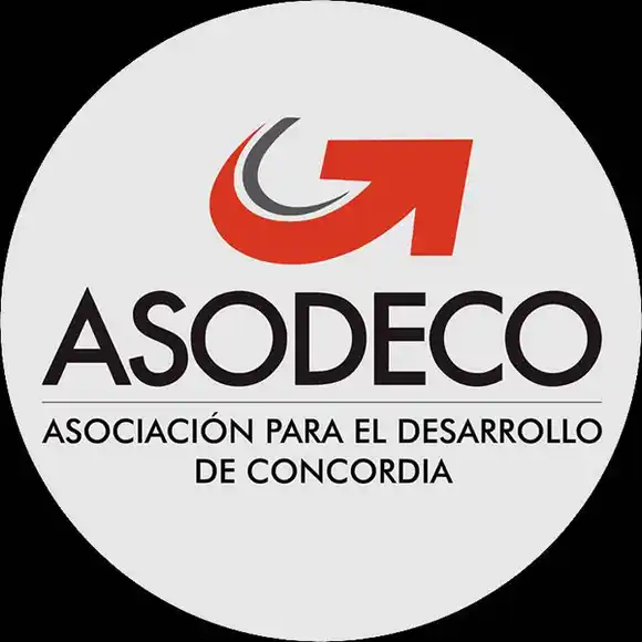 ASODECO participó de reunión con el Secretario de Relaciones Económicas Internacionales