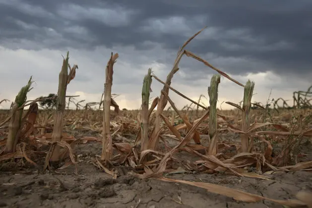 La Provincia declaró la emergencia agropecuaria en distritos del sudoeste