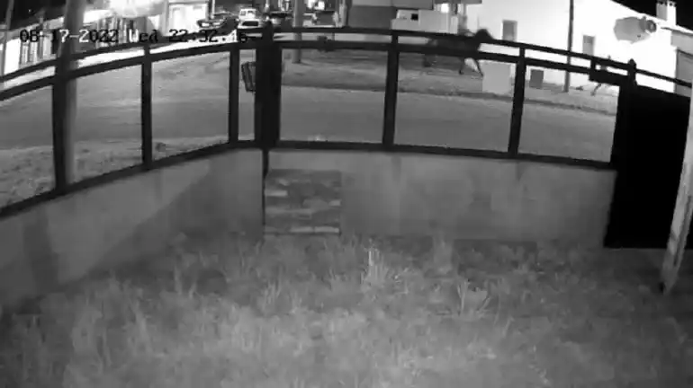 Lo que faltaba, un ladrón a caballo en Gualeguaychú: le robó a un joven de 18 años