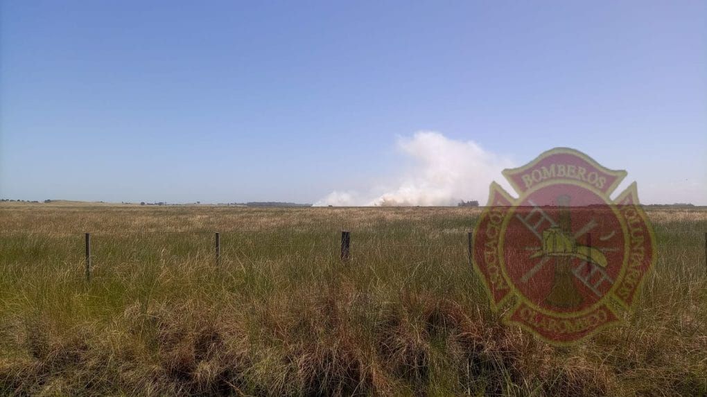 Bomberos Voluntarios de Claromecó controlaron un incendio forestal