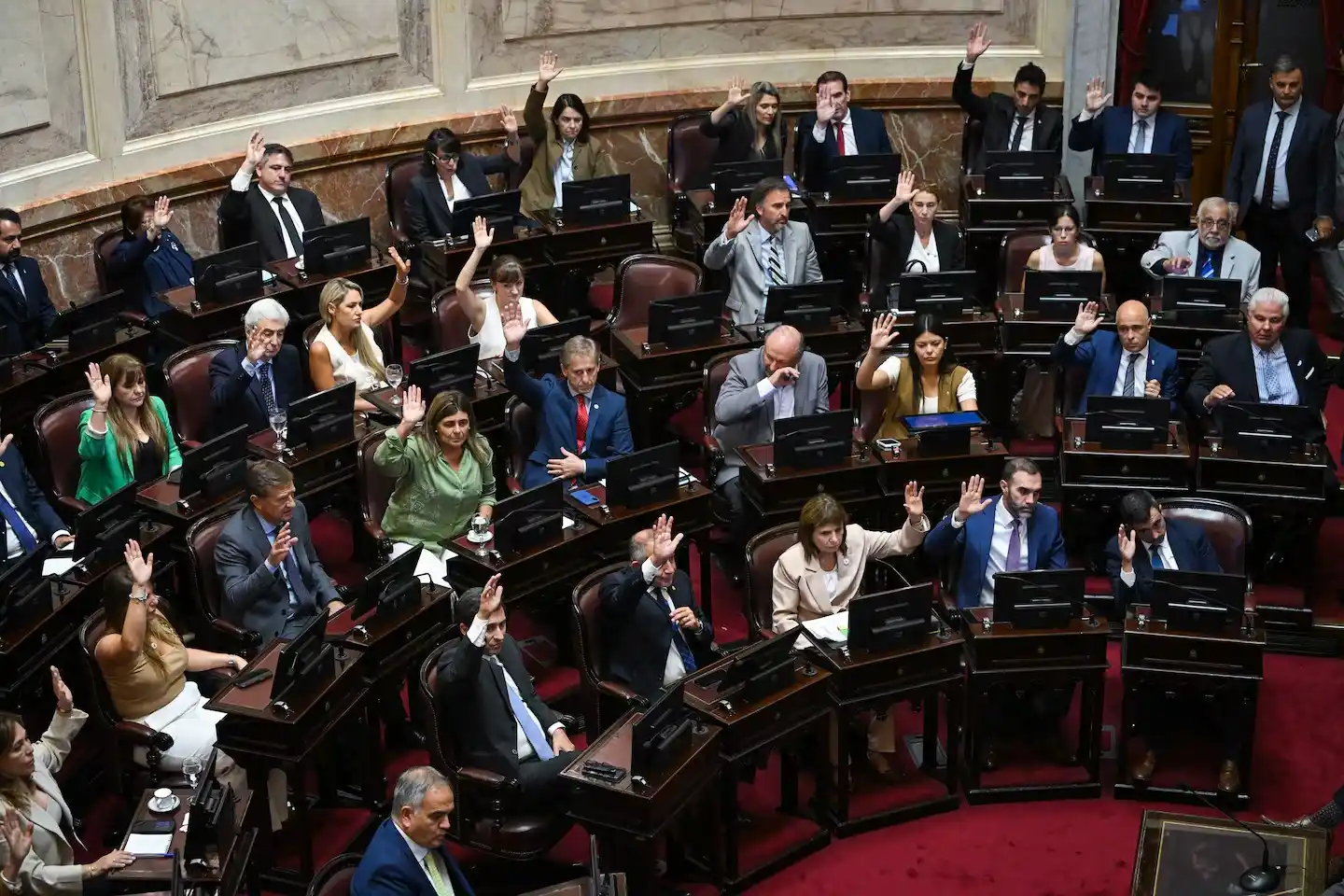 Bloque de senadores de La Libertad Avanza encabezado por Patricia Bullrich. (Fotos: Charly Diaz Azcue / Comunicación Senado)