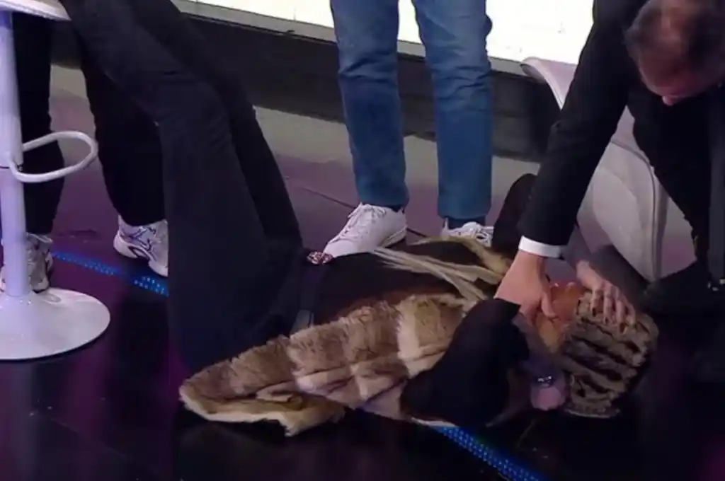 El tenso momento que vivió Luisana Cardozo en vivo.