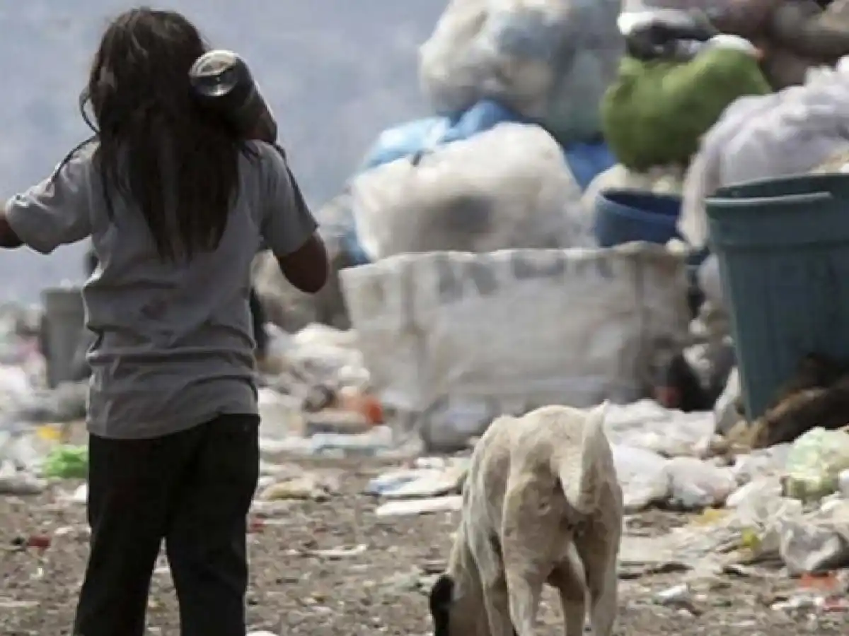 Presentan un informe sobre seguridad alimentaria y nutrición 