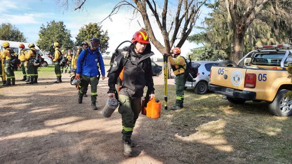 Incendios en islas: Cabandié ampliará la denuncia en Victoria y Federovisky dijo que “hay impunidad”