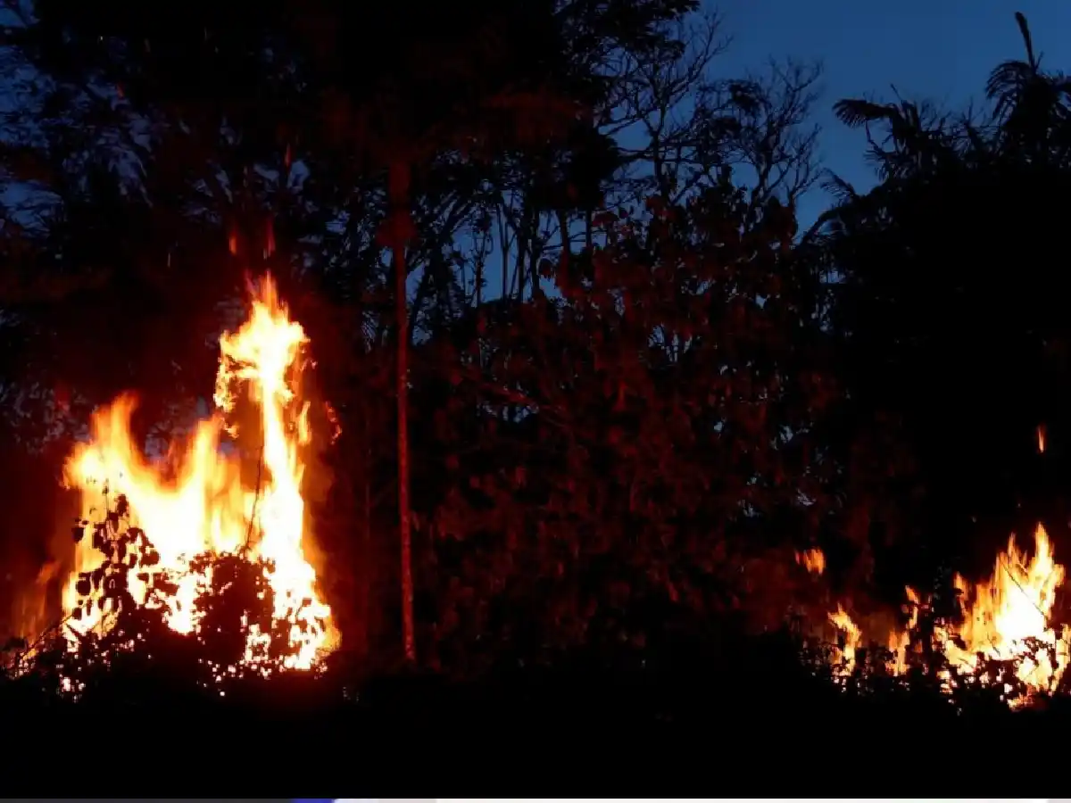 El daño medioambiental de China en la Amazonia