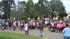 Cáncer de mama: se realizó una Caminata en Gualeguay