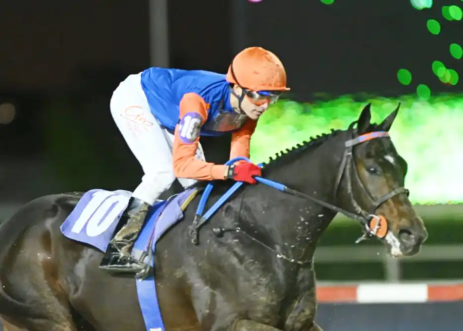 Palermo, San Isidro y un finde lleno de clásicos