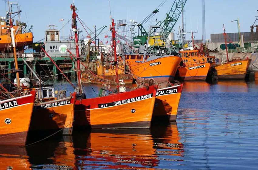 Piden que se incluyan mujeres en las tripulaciones pesqueras de Mar del Plata