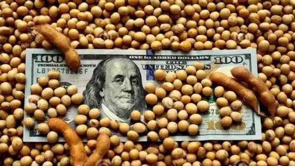 El Banco Central compró u$s 457 millones en la primera semana del Dólar Soja 2