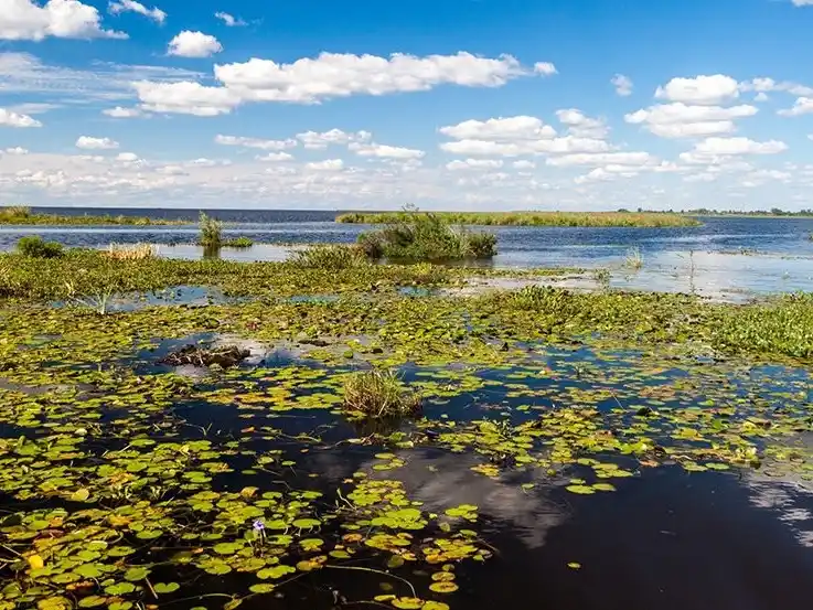 Nueva ley ambiental en Entre Ríos: destacan avances en simplificación, control y participación ciudadana
