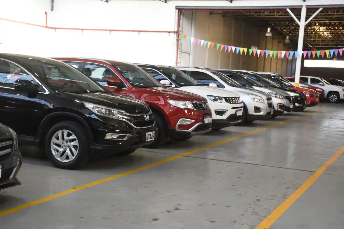 En los 6 primeros meses del año se comercializaron 739.398 unidades