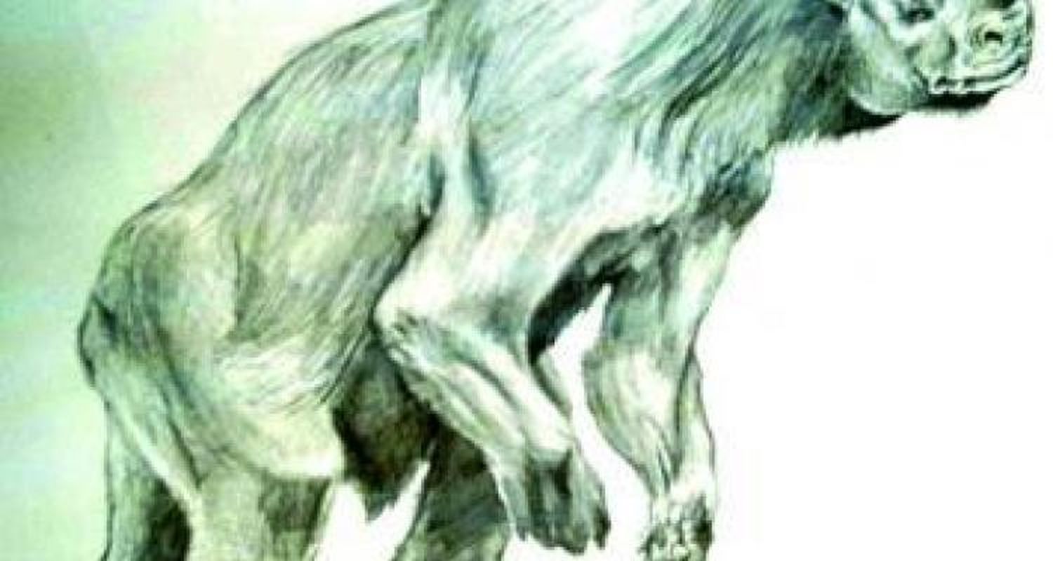Hallaron los restos de una Lestodonte y su cría