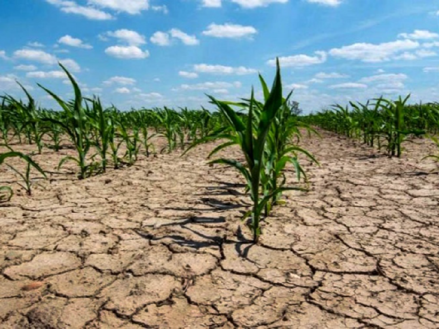 “La Niña” no se va 