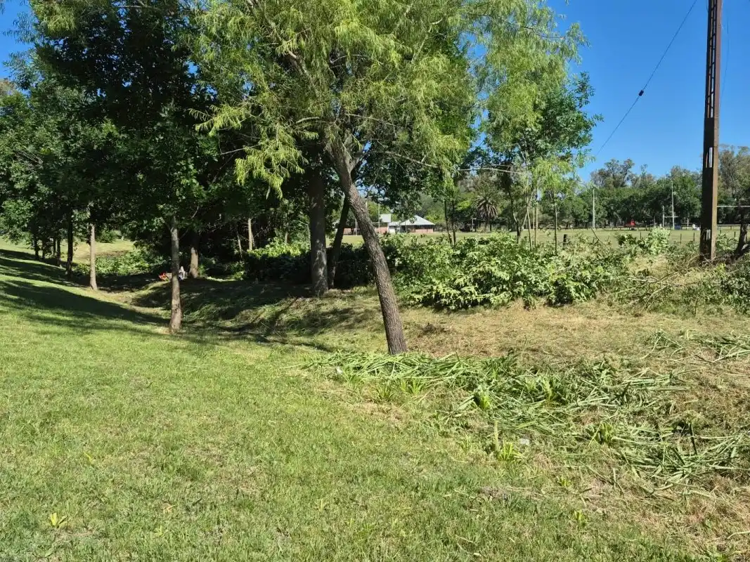 Realizan trabajos de poda y limpieza en los alrededores de la curva del Parque Unzué