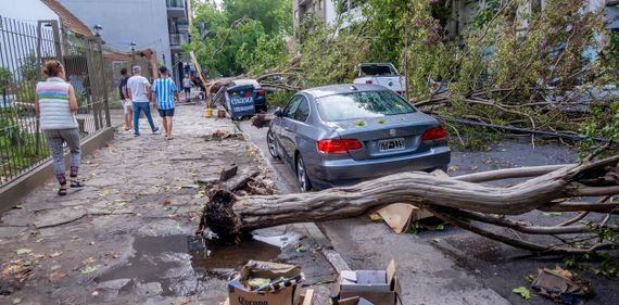 Mar del Plata: un violento temporal generó destrozos por la madrugada
