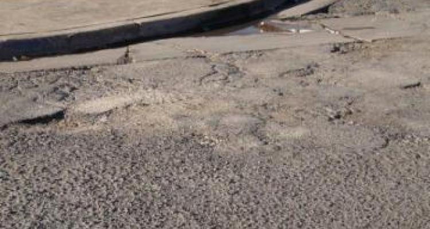 Homenaje al bache