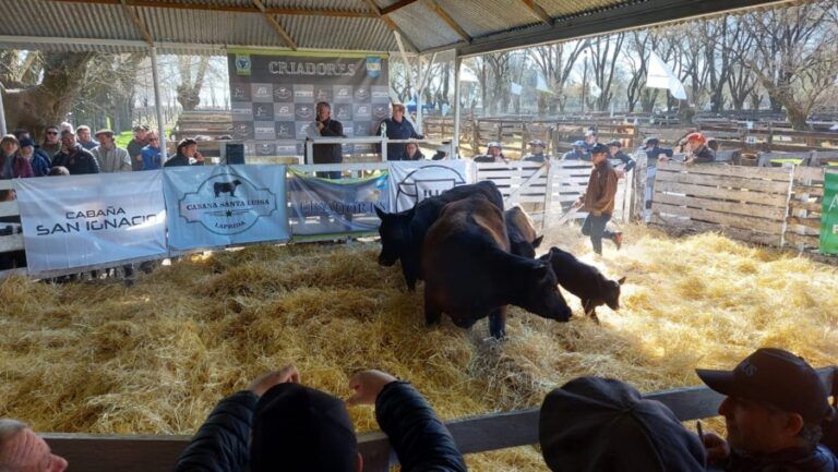 “Criadores” pone tercera en Laprida