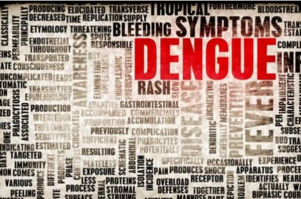 Confirman 273 casos de dengue en Catamarca